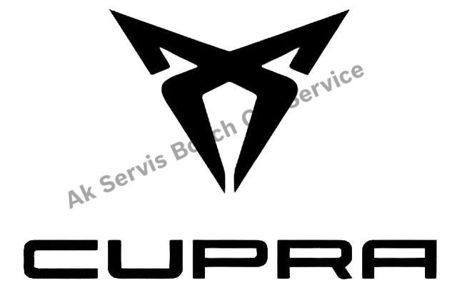 Ankara Cupra Servisi